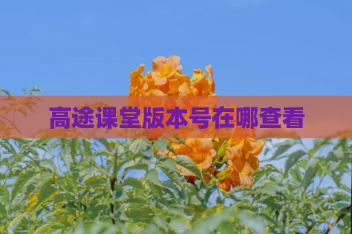 高途课堂版本号在哪查看