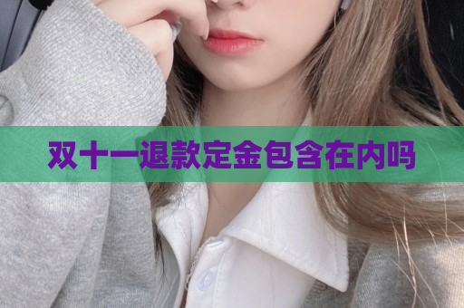 双十一退款定金包含在内吗