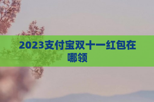 2023支付宝双十一红包在哪领