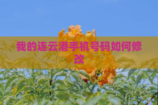 我的连云港手机号码如何修改