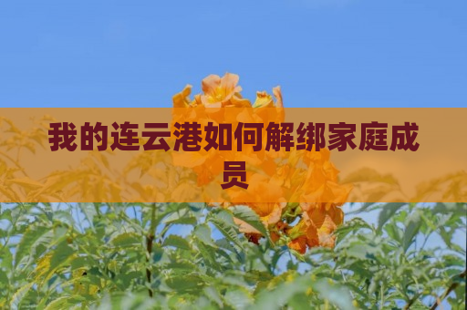 我的连云港如何解绑家庭成员