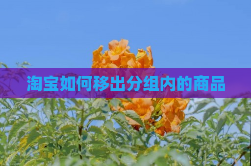 淘宝如何移出分组内的商品