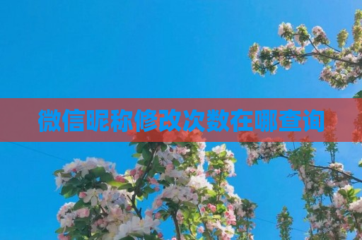 微信昵称修改次数在哪查询