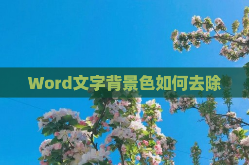 Word文字背景色如何去除