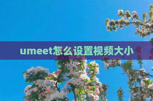umeet怎么设置视频大小