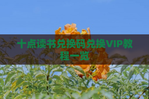 十点读书兑换码兑换VIP教程一览