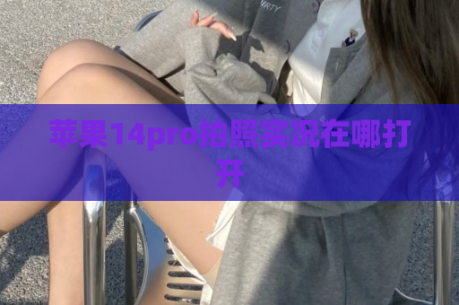 苹果14pro拍照实况在哪打开