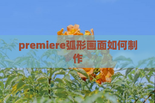 premiere弧形画面如何制作