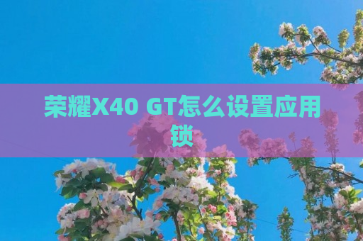 荣耀X40 GT怎么设置应用锁