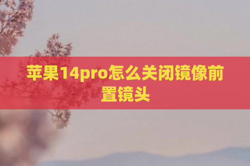 苹果14pro怎么关闭镜像前置镜头
