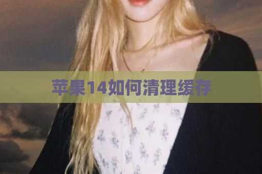 苹果14如何清理缓存