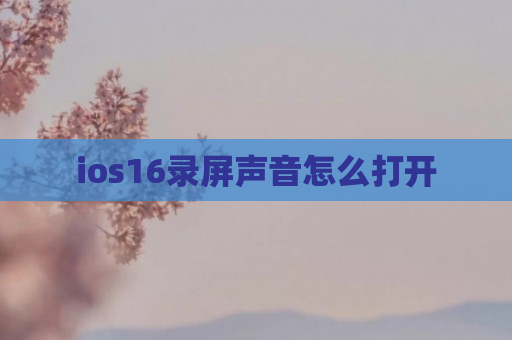 ios16录屏声音怎么打开