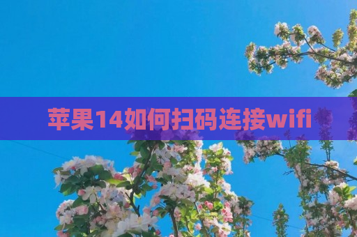 苹果14如何扫码连接wifi