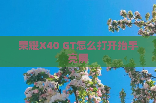 荣耀X40 GT怎么打开抬手亮屏