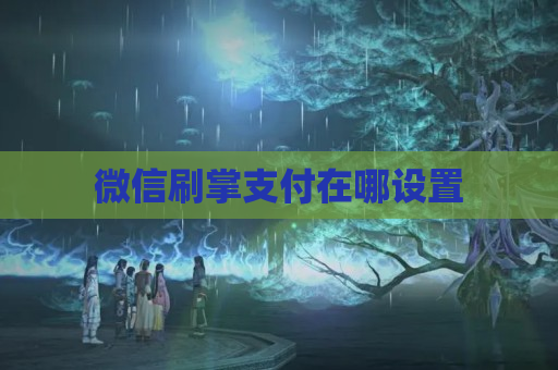 微信刷掌支付在哪设置