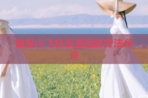 微星小飞机设置图解方法分享