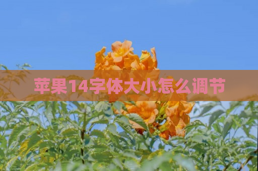 苹果14字体大小怎么调节