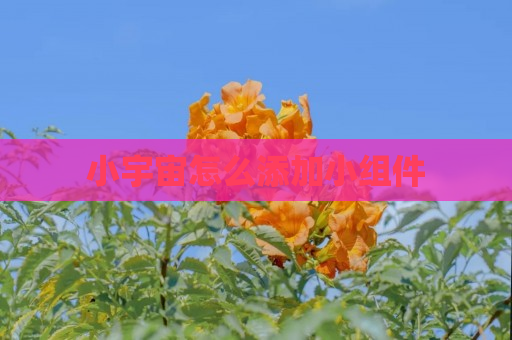 小宇宙怎么添加小组件