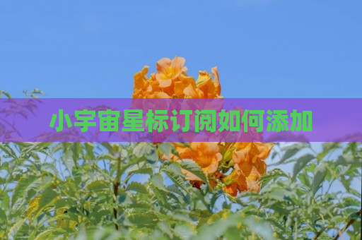 小宇宙星标订阅如何添加
