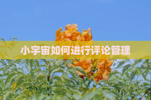 小宇宙如何进行评论管理