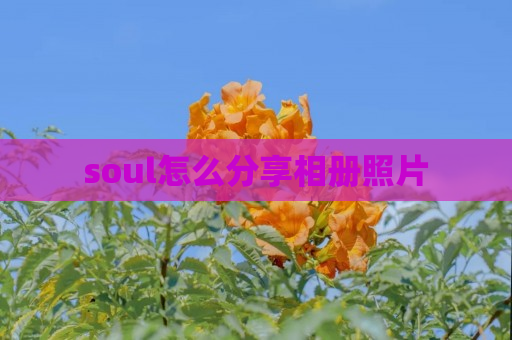 soul怎么分享相册照片