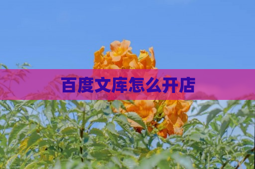 百度文库怎么开店