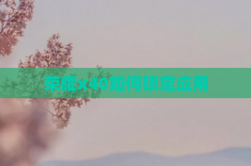 荣耀x40如何锁定应用