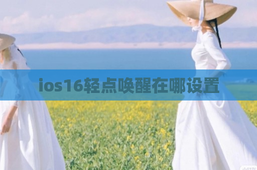ios16轻点唤醒在哪设置