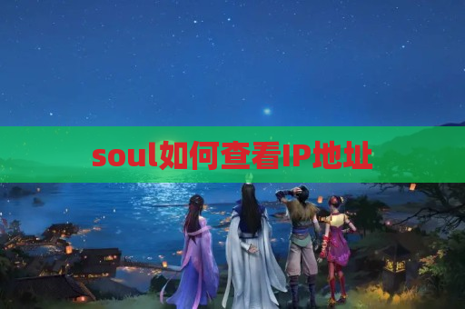 soul如何查看IP地址