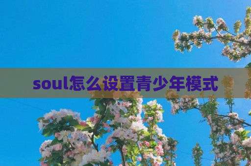 soul怎么设置青少年模式