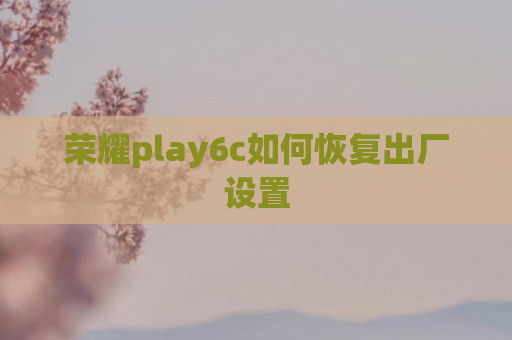 荣耀play6c如何恢复出厂设置