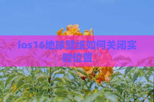 ios16地球壁纸如何关闭实时位置