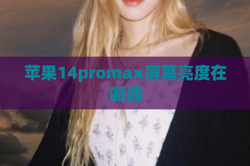 苹果14promax屏幕亮度在哪调