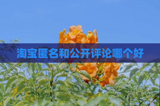 淘宝匿名和公开评论哪个好