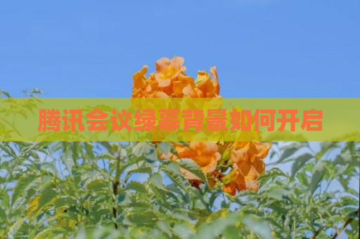 腾讯会议绿幕背景如何开启