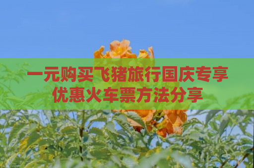 一元购买飞猪旅行国庆专享优惠火车票方法分享