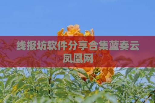 线报坊软件分享合集蓝奏云凤凰网