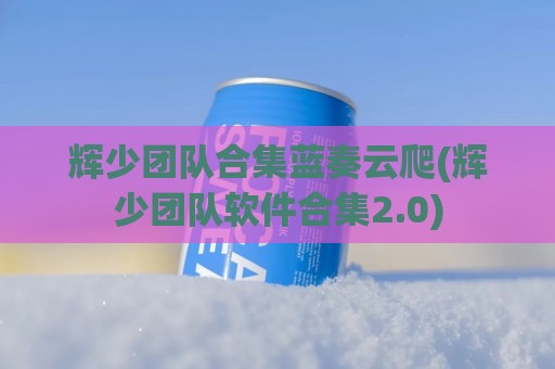 辉少团队合集蓝奏云爬(辉少团队软件合集2.0)