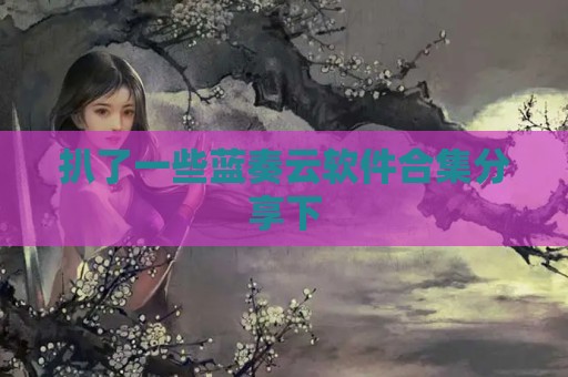 扒了一些蓝奏云软件合集分享下