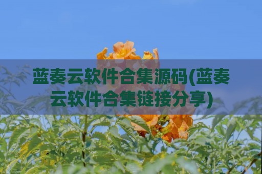 蓝奏云软件合集源码(蓝奏云软件合集链接分享)