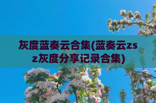 灰度蓝奏云合集(蓝奏云zsz灰度分享记录合集)
