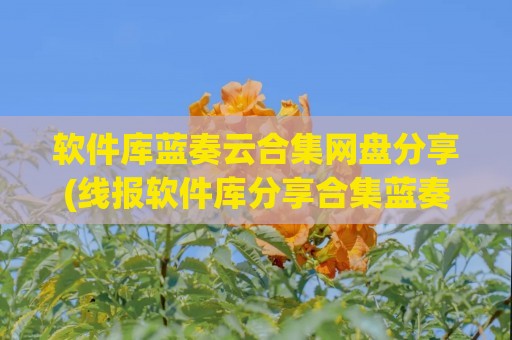 软件库蓝奏云合集网盘分享(线报软件库分享合集蓝奏云)