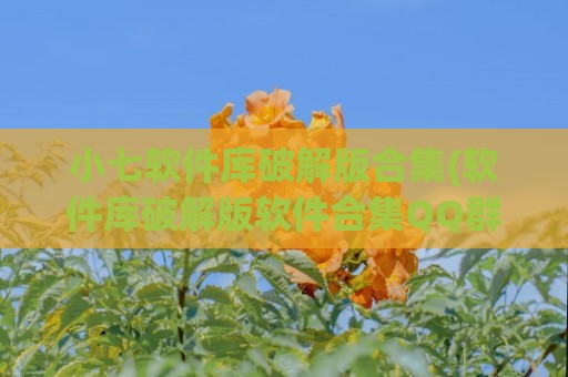 小七软件库破解版合集(软件库破解版软件合集QQ群号)