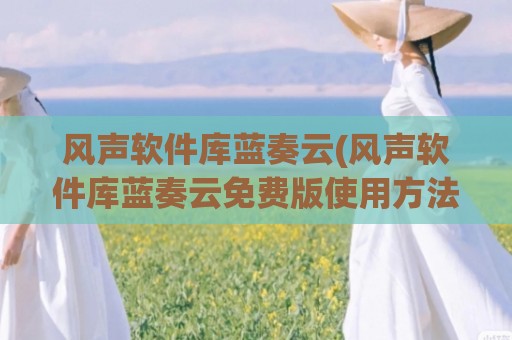 风声软件库蓝奏云(风声软件库蓝奏云免费版使用方法)
