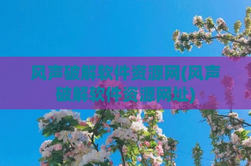 风声破解软件资源网(风声破解软件资源网址)
