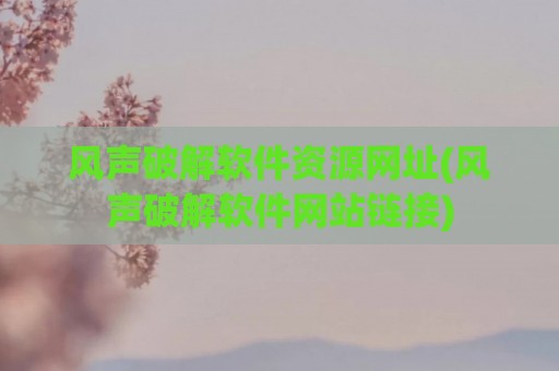 风声破解软件资源网址(风声破解软件网站链接)
