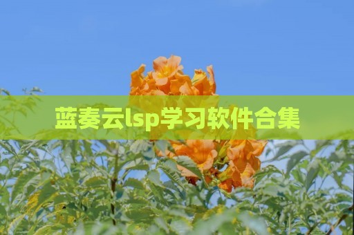 蓝奏云lsp学习软件合集