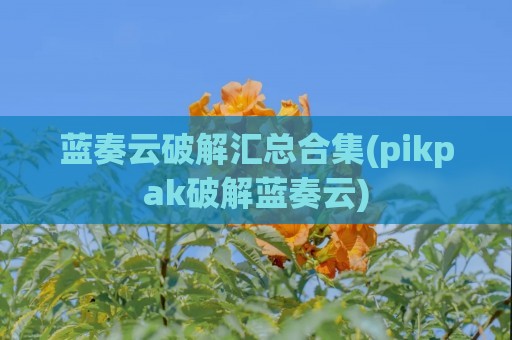 蓝奏云破解汇总合集(pikpak破解蓝奏云)