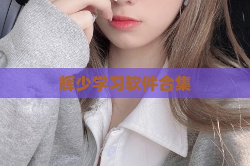 辉少学习软件合集