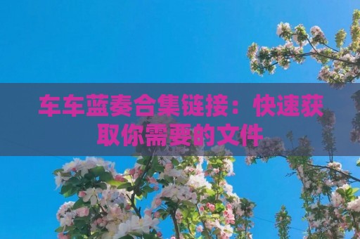 车车蓝奏合集链接：快速获取你需要的文件